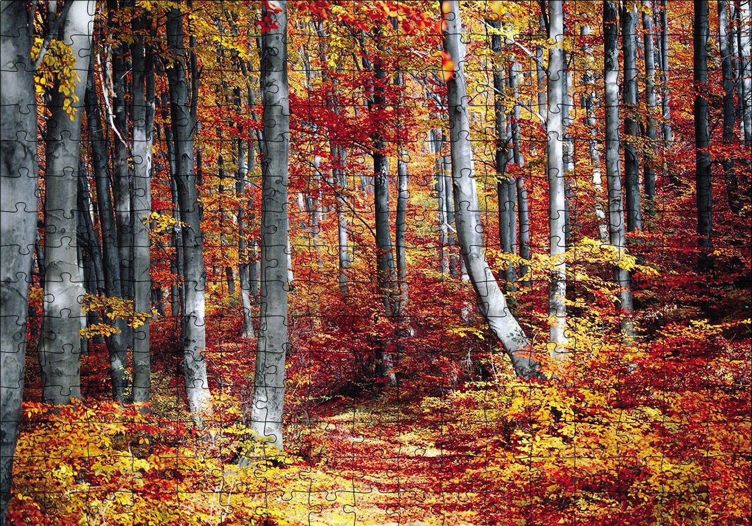 Sonbaharda Orman Puzzle Yapboz MDF Ahşap 255 Parça 34 cm X 49 cm