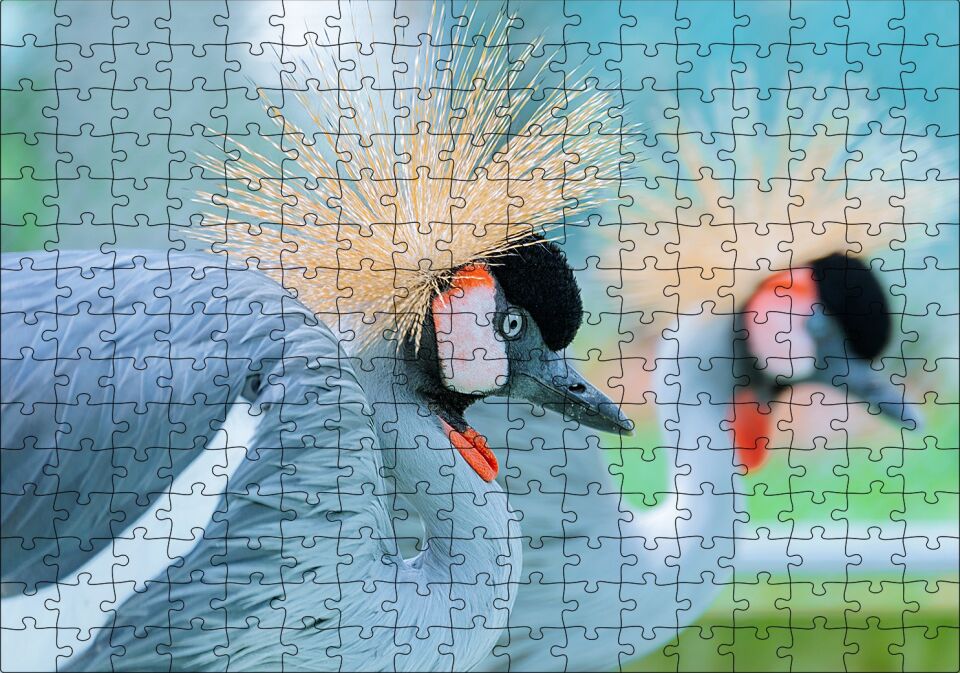 Açık Mavi Renkli Tepeli Turna Görseli Puzzle Yapboz MDF Ahşap 255 Parça 34 cm X 49 cm