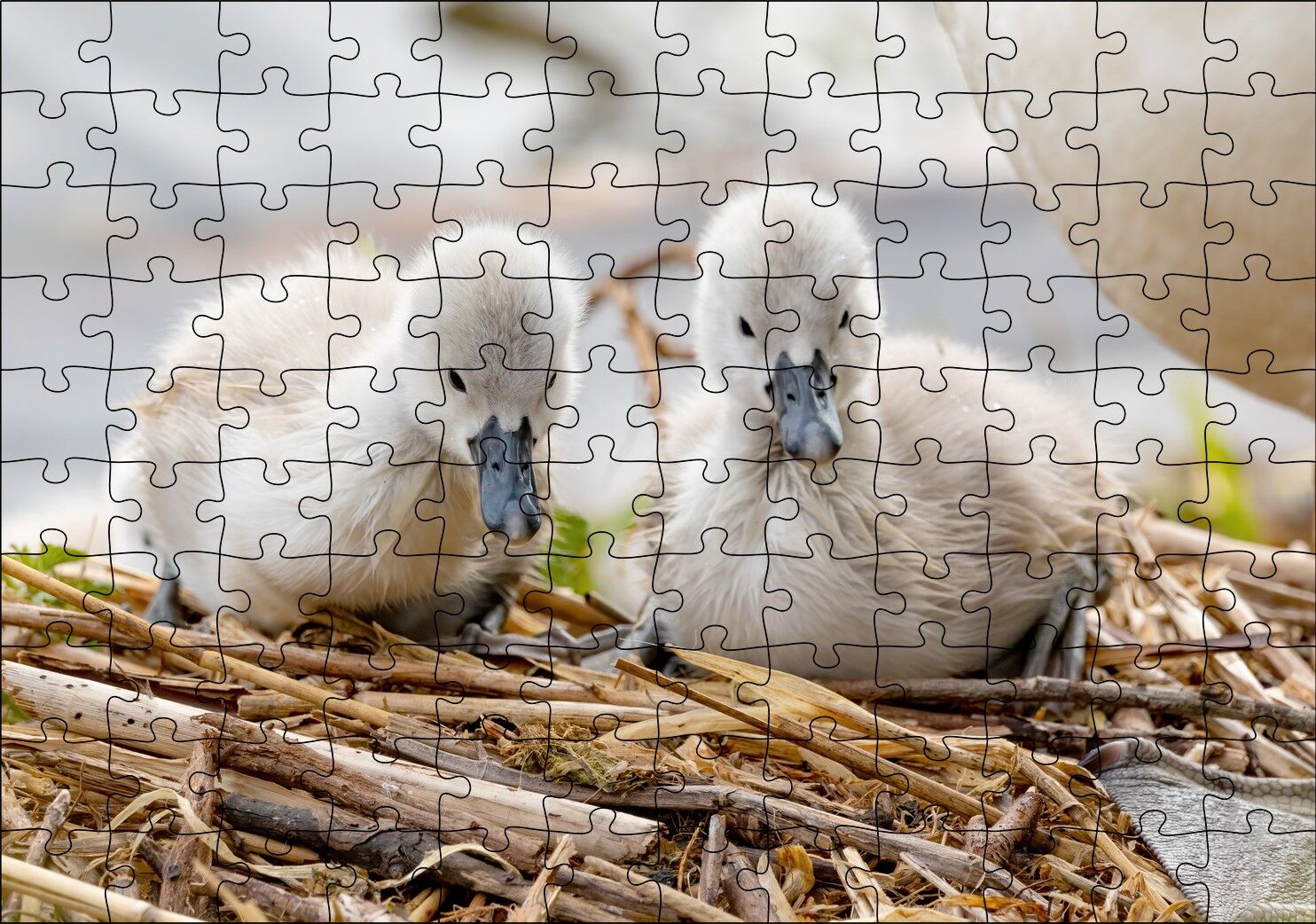 Anne Altında İki Sevimli Kuğu Yavrusu Puzzle Yapboz MDF Ahşap