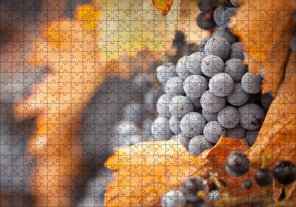 Kuru Yapraklar ve Kara Üzümler Puzzle Yapboz MDF Ahşap 500 Parça 49 cm X 68 cm