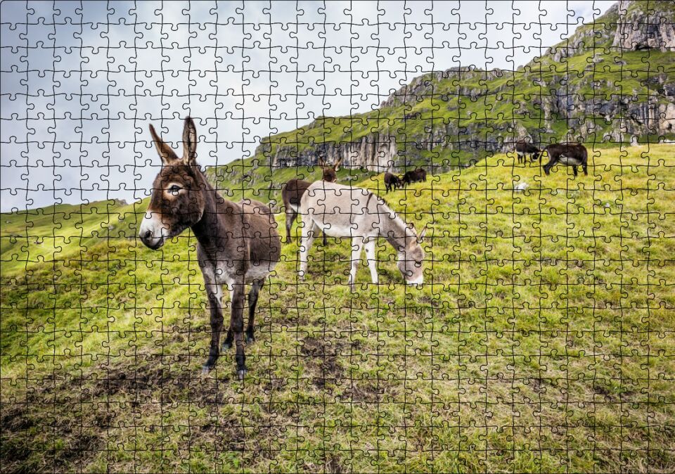 Yeşil Tepelerde Otlayan Eşekler Puzzle Yapboz MDF Ahşap 500 Parça 49 cm X 68 cm
