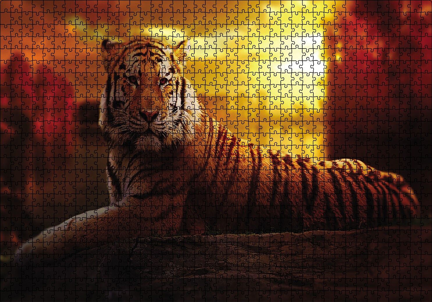 Günbatımında Kaplan Puzzle Yapboz MDF Ahşap 1000 Parça 49 cm X 68 cm