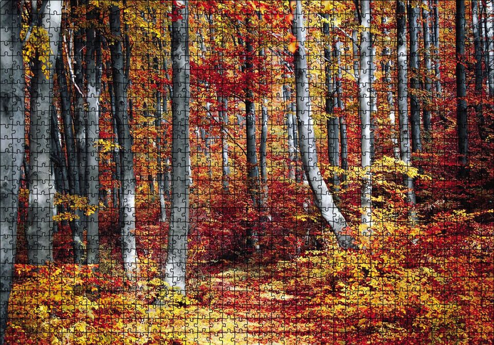 Sonbaharda Orman Puzzle Yapboz MDF Ahşap 1000 Parça 49 cm X 68 cm