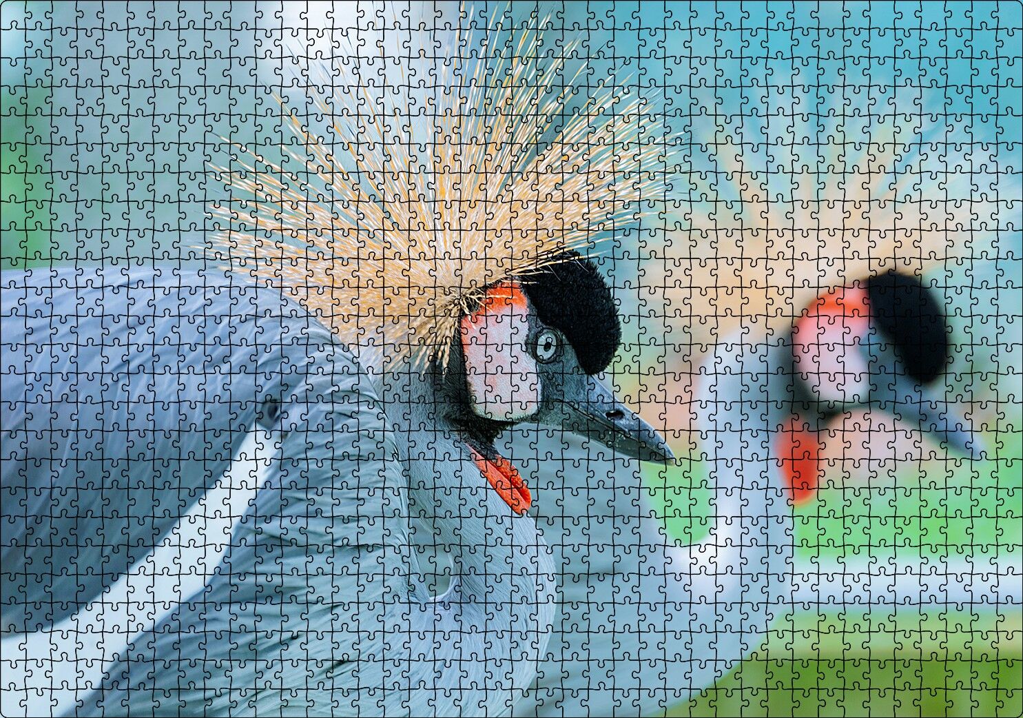 Açık Mavi Renkli Tepeli Turna Görseli Puzzle Yapboz MDF Ahşap 1000 Parça 49 cm X 68 cm