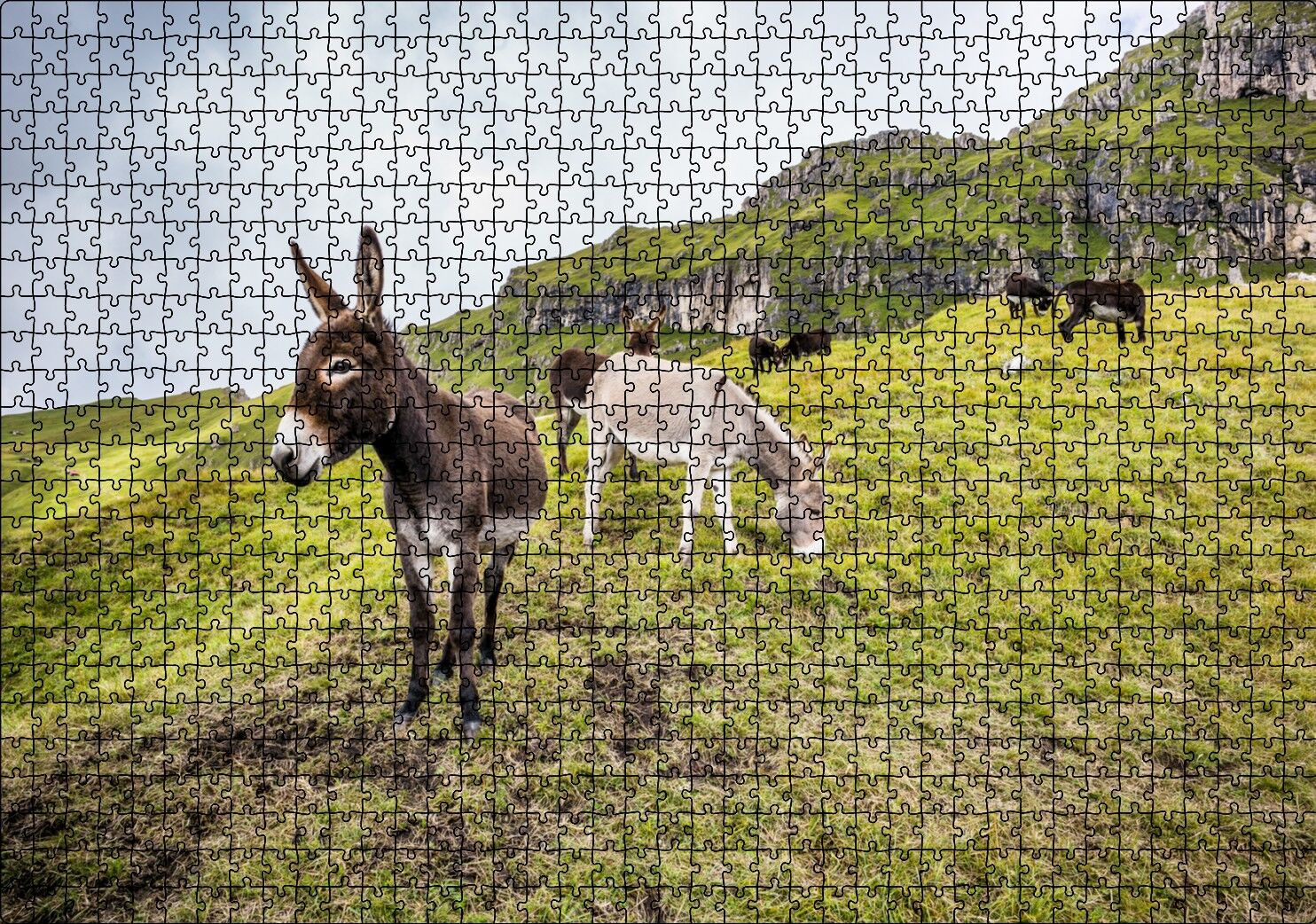 Yeşil Tepelerde Otlayan Eşekler Puzzle Yapboz MDF Ahşap 1000 Parça 49 cm X 68 cm
