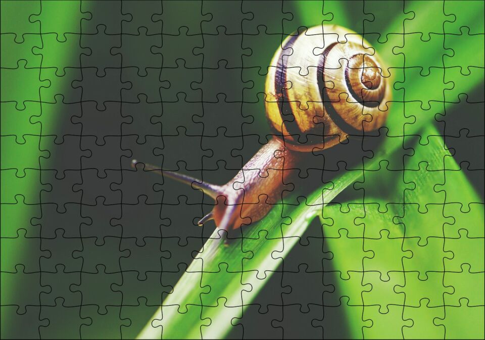Yeşil Yaprak Üzerindeki Salyangoz Yakın Çekim Puzzle Yapboz MDF Ahşap 120 Parça 24 cm X 34 cm