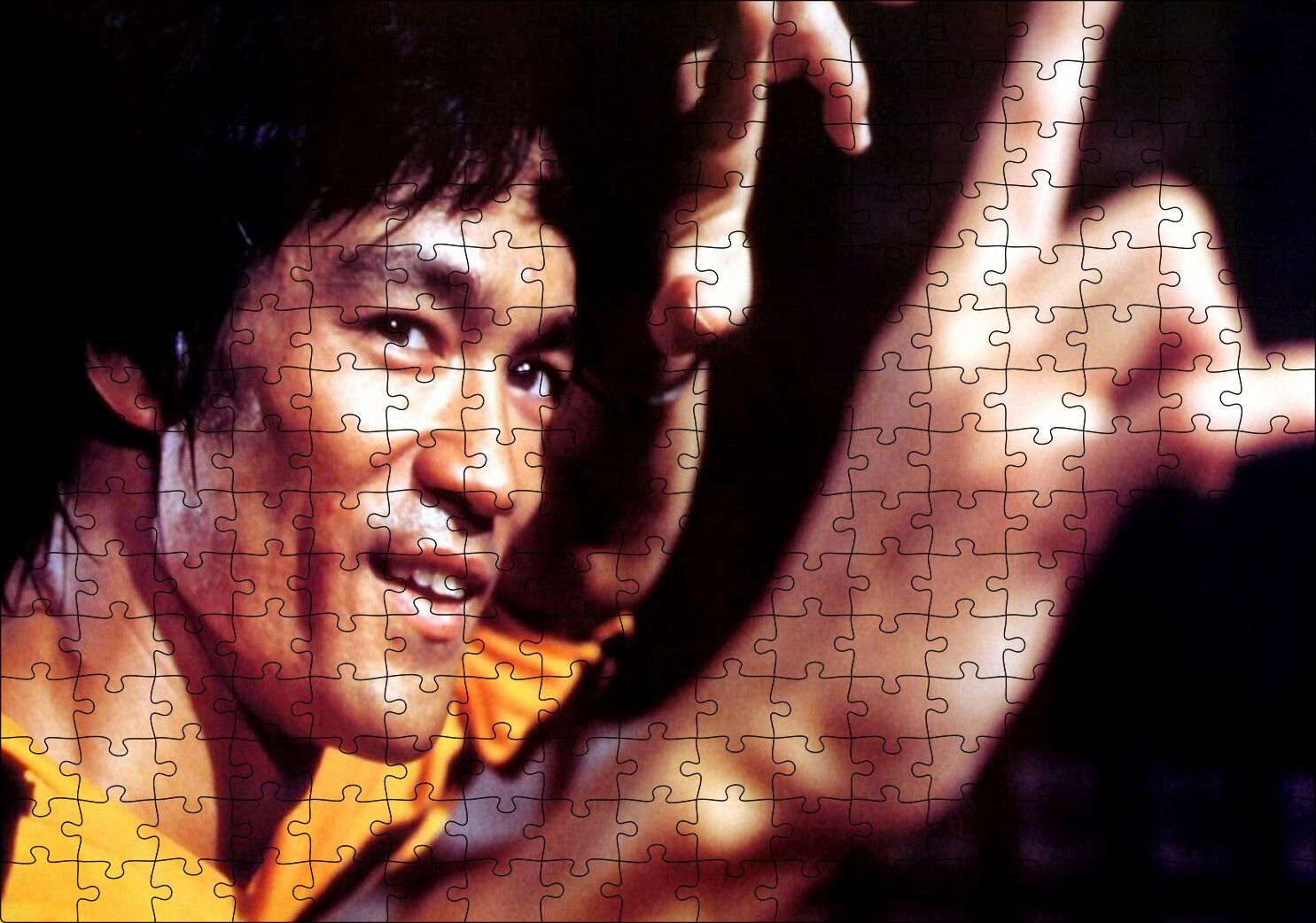 Bruce Lee Kungfu Dövüş Sanatı Puzzle Yapboz MDF Ahşap 255 Parça 34 cm X 49 cm