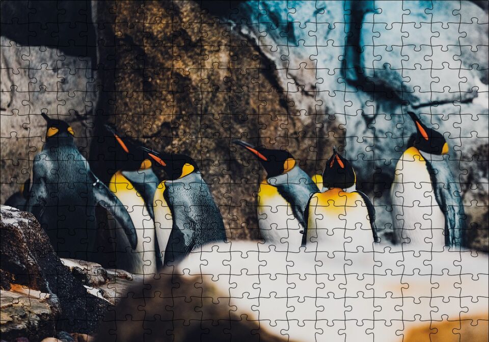 Kral Penguenleri Puzzle Yapboz MDF Ahşap 255 Parça 34 cm X 49 cm