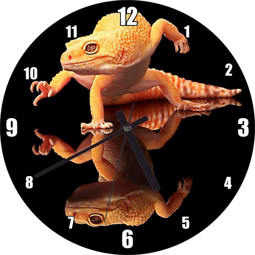 Geko Kertenkelesi Cam Zeminde Karanlık Arkaplan Mdf Ahşap Duvar Saati