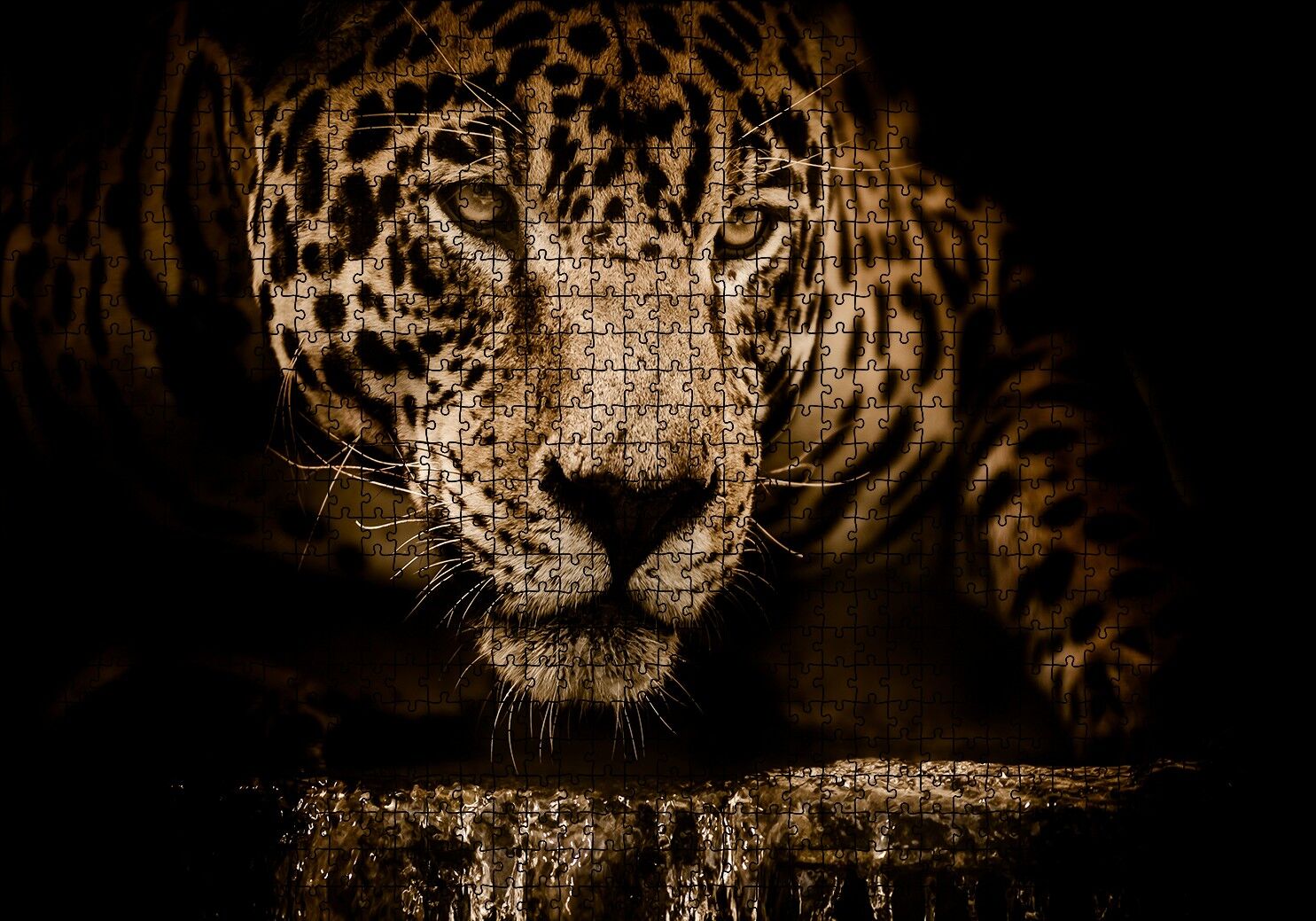 Jaguar Pusuda Yakın Plan Puzzle Yapboz MDF Ahşap 1000 Parça 49 cm X 68 cm