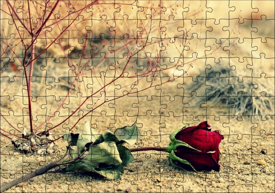 Kurak Toprak ve Solan Kırmızı Gül Puzzle Yapboz MDF Ahşap 120 Parça 24 cm X 34 cm