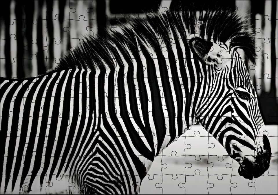 Benzersiz Deseniyle Zebra Yakın Çekim Puzzle Yapboz MDF Ahşap