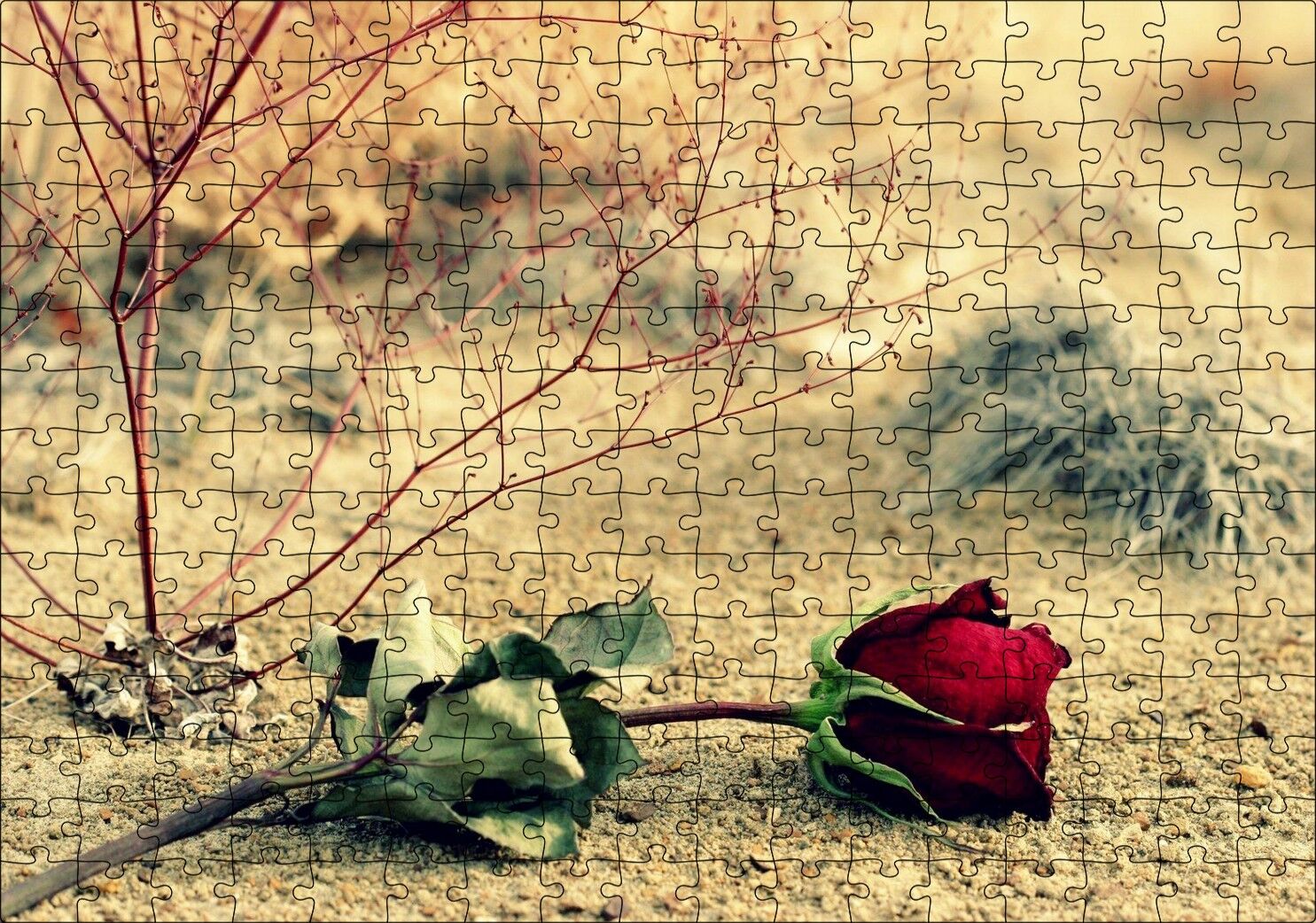 Kurak Toprak ve Solan Kırmızı Gül Puzzle Yapboz MDF Ahşap 255 Parça 34 cm X 49 cm