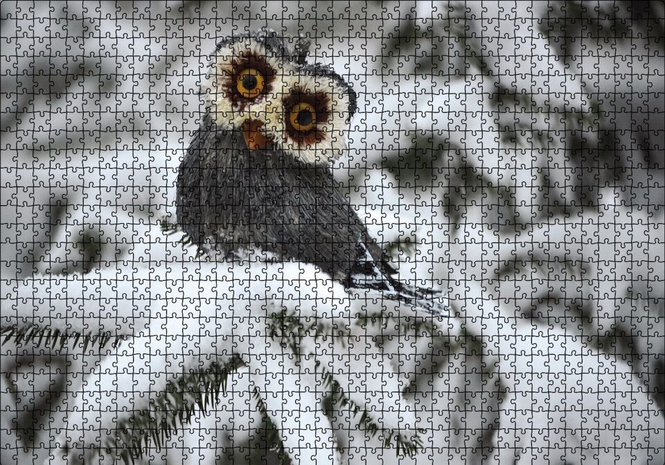 Karda Baykuş Puzzle Yapboz MDF Ahşap 1000 Parça 49 cm X 68 cm