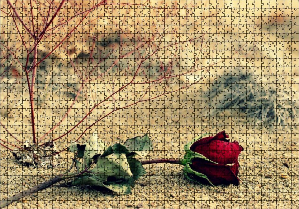 Kurak Toprak ve Solan Kırmızı Gül Puzzle Yapboz MDF Ahşap 1000 Parça 49 cm X 68 cm