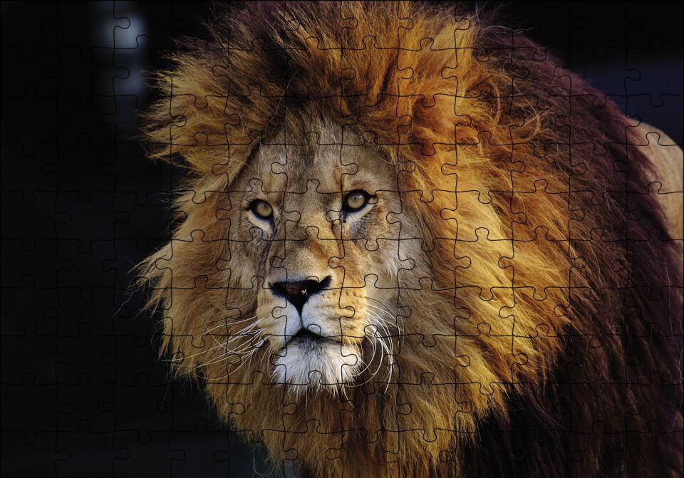Aslan Kral Puzzle Yapboz MDF Ahşap 120 Parça 24 cm X 34 cm