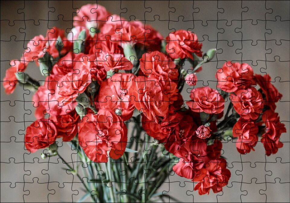 Bir Demet Kırmızı Yabani Karanfil Puzzle Yapboz MDF Ahşap
