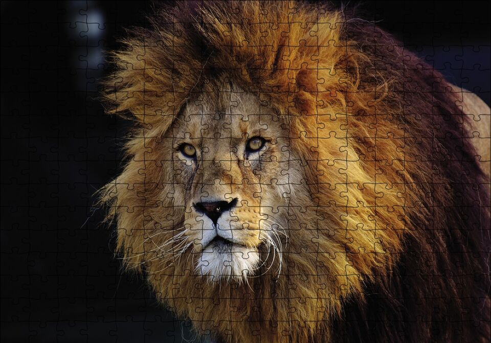 Aslan Kral Puzzle Yapboz MDF Ahşap 255 Parça 34 cm X 49 cm