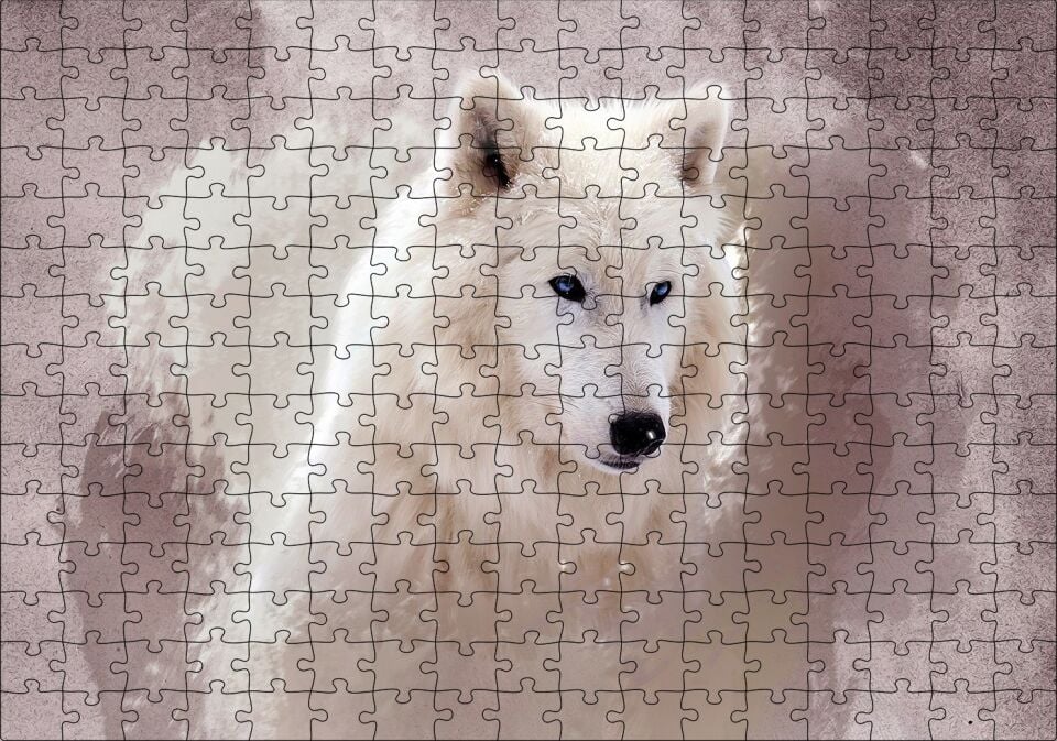 Beyaz Kurt Puslu Zemin Görseli Puzzle Yapboz MDF Ahşap 255 Parça 34 cm X 49 cm