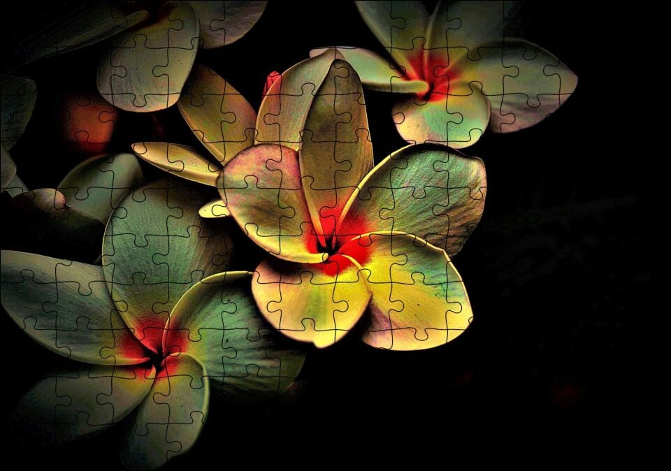 Bitkinin Dev Yaprakları Karanlık Arka Plan Puzzle Yapboz MDF Ahşap