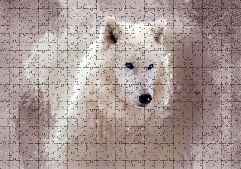 Beyaz Kurt Puslu Zemin Görseli Puzzle Yapboz MDF Ahşap 500 Parça 49 cm X 68 cm