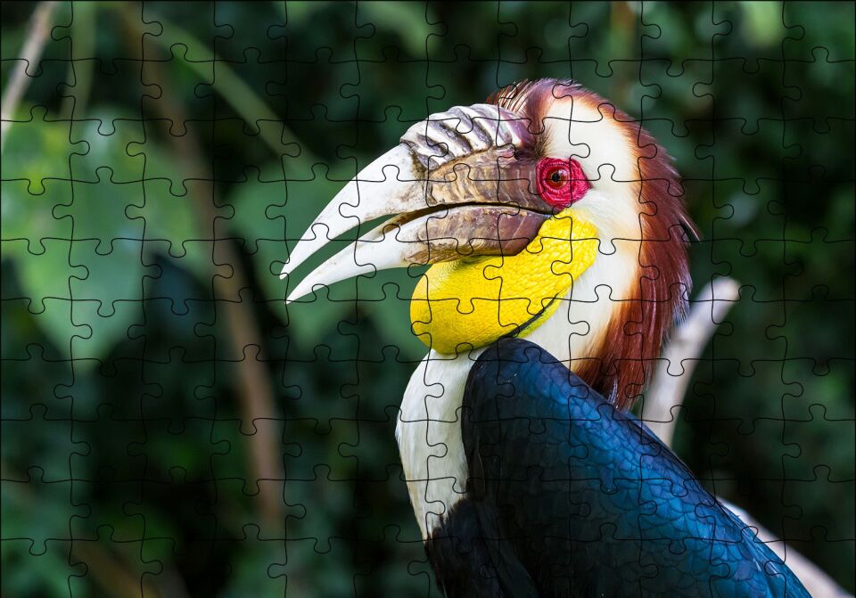 Tropikal Boynuzgagalı Puzzle Yapboz MDF Ahşap