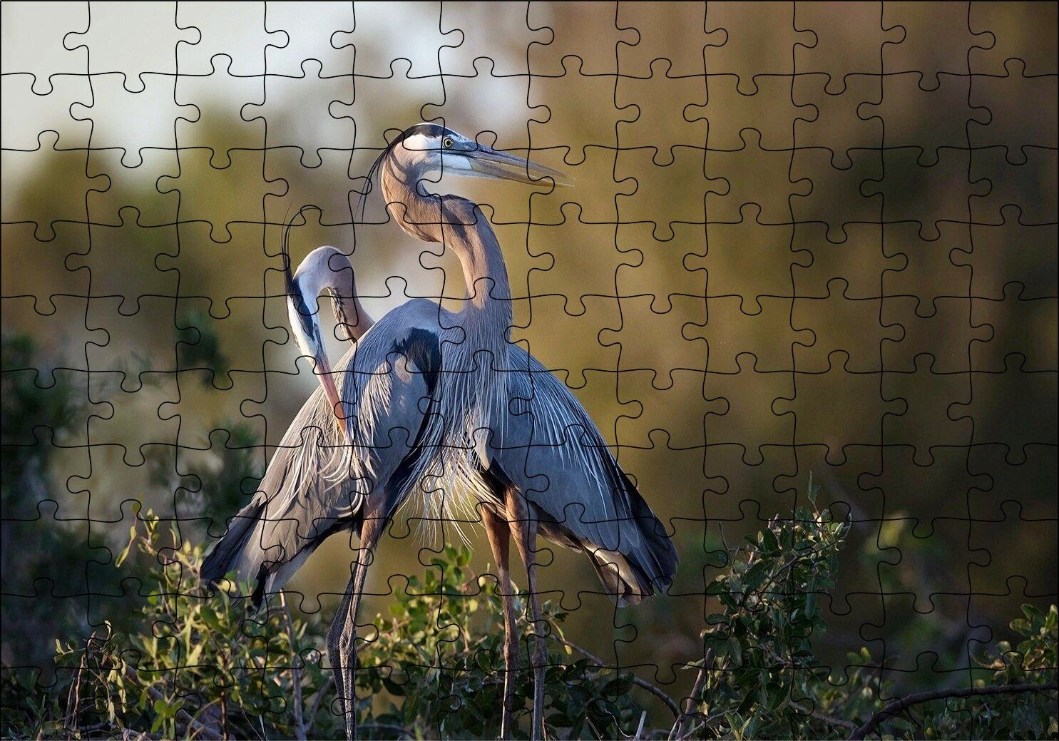 Günbatımında Balıkçıl Çift Puzzle Yapboz MDF Ahşap