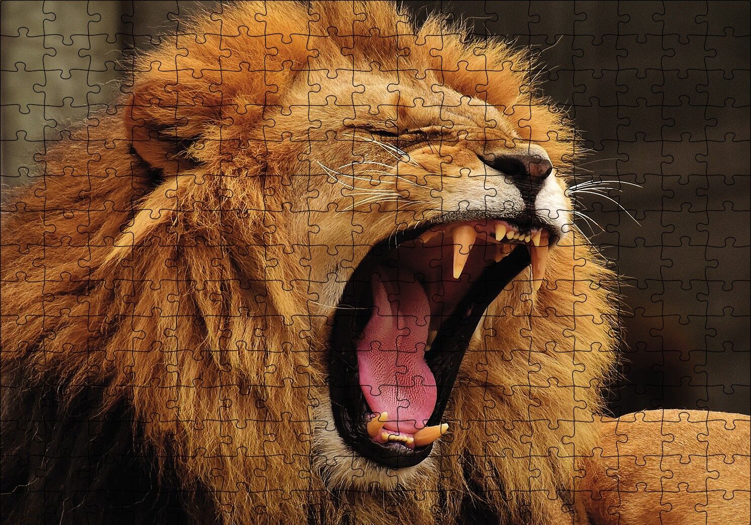Aslan Esneyen Puzzle Yapboz MDF Ahşap 255 Parça 34 cm X 49 cm