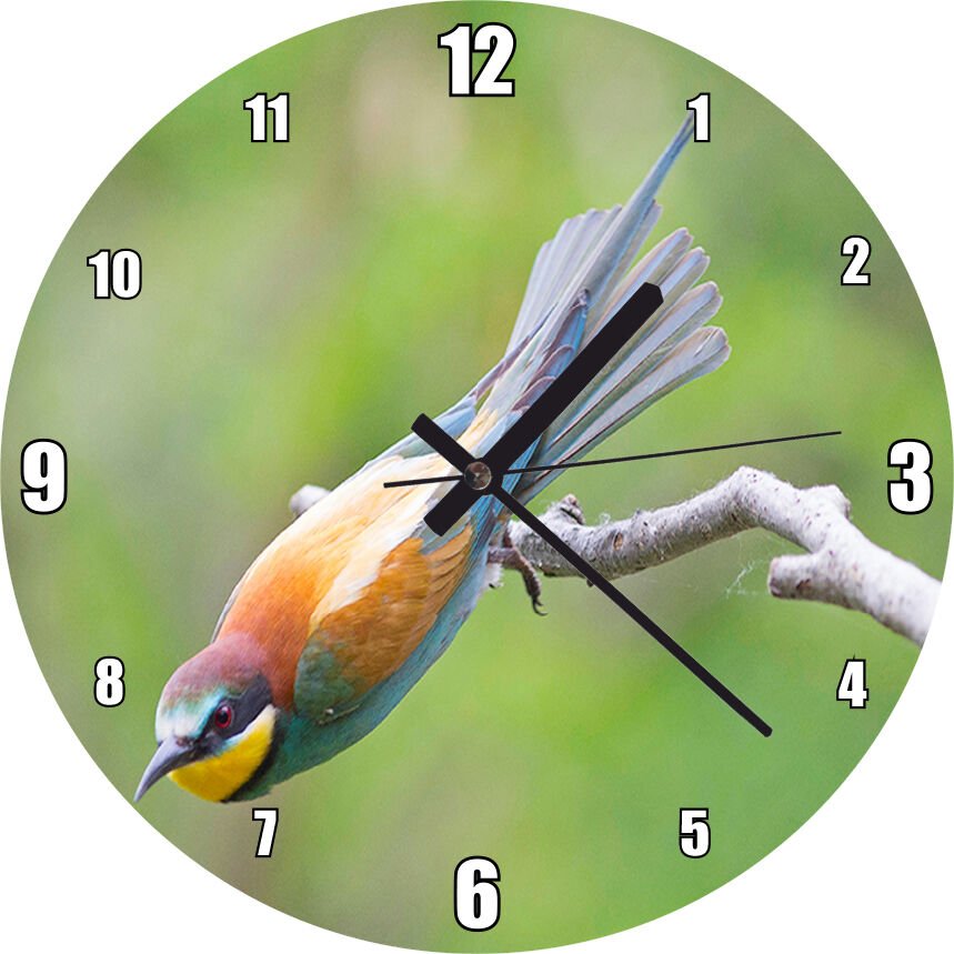 Daldan Ayrılmak Üzere Olan Rengarenk Kuş Mdf Ahşap Duvar Saati