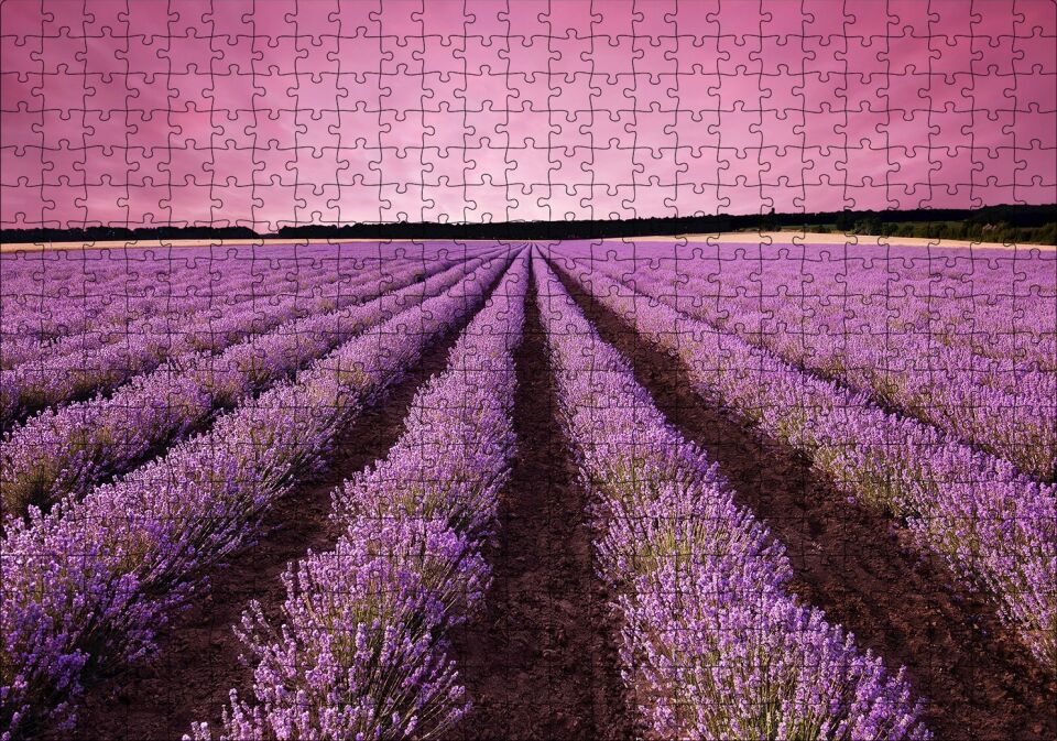 Lavanta Tarlaları ve Mor Gökler Puzzle Yapboz MDF Ahşap 500 Parça 49 cm X 68 cm