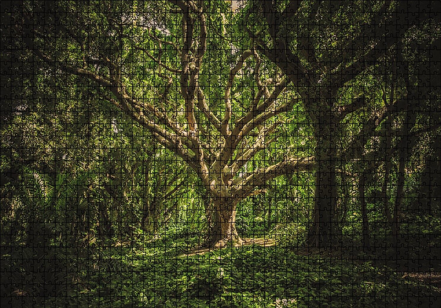 Tropik Orman Puzzle Yapboz MDF Ahşap 1000 Parça 49 cm X 68 cm