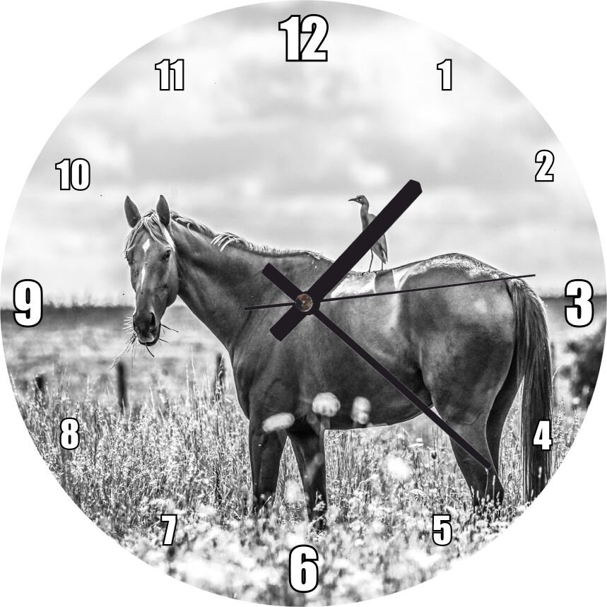 Çayırda Otlayan Aygır ve Sırtındaki Kuş Mdf Ahşap Duvar Saati