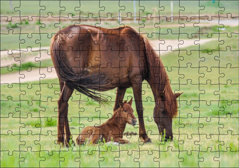 Çayırda Kahverengi Anne At ve Sevimli Tayı Puzzle Yapboz MDF Ahşap