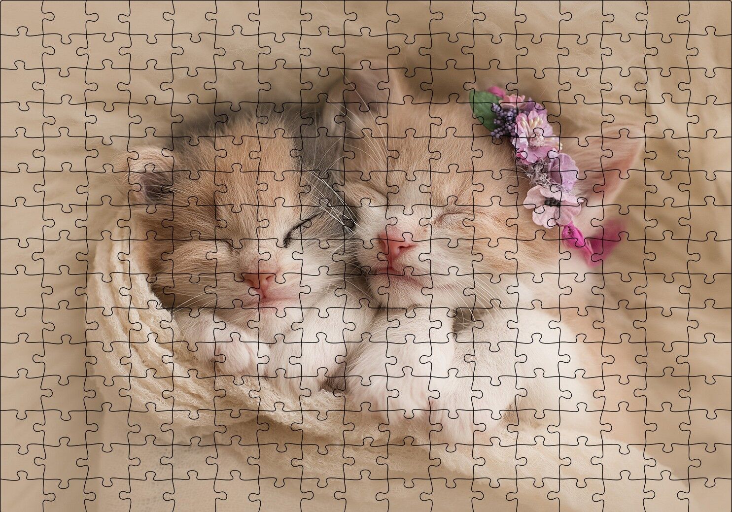 Birlikte Uyuyan Sevimli Yavru Kediler Puzzle Yapboz MDF Ahşap 255 Parça 34 cm X 49 cm