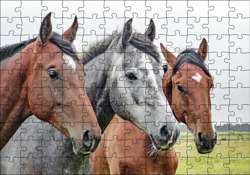 Çayırda Kahverengi ve Gri Atlar Yakın Çekim Puzzle Yapboz MDF Ahşap