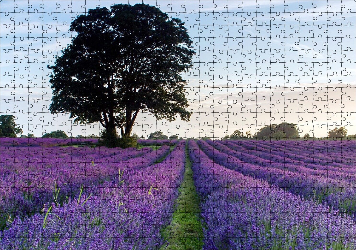 Lavanta Tarlaları ve Yalnız Ağaç Puzzle Yapboz MDF Ahşap 500 Parça 49 cm X 68 cm