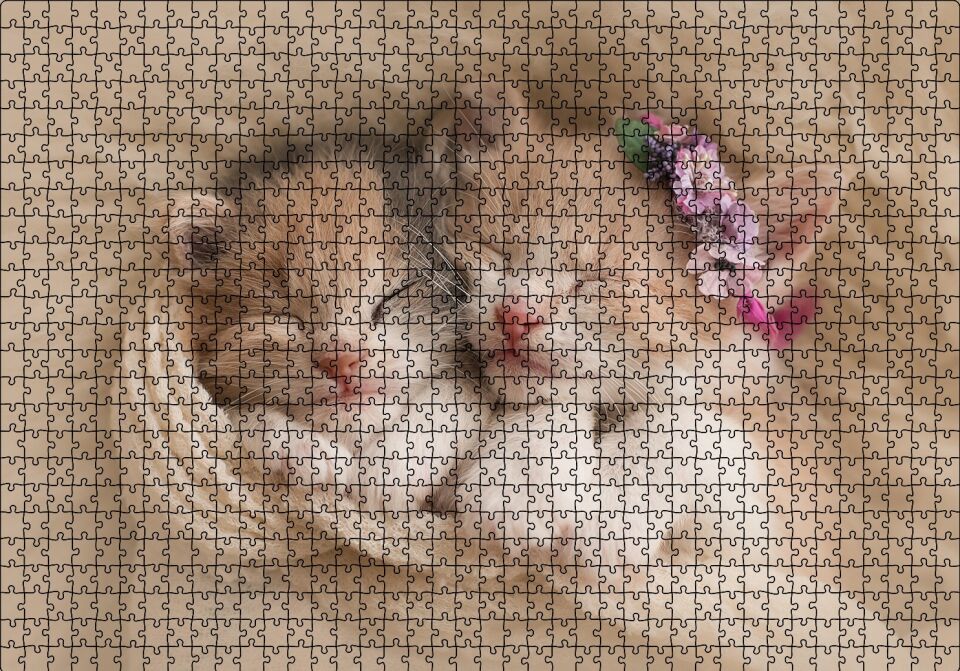 Birlikte Uyuyan Sevimli Yavru Kediler Puzzle Yapboz MDF Ahşap 1000 Parça 49 cm X 68 cm
