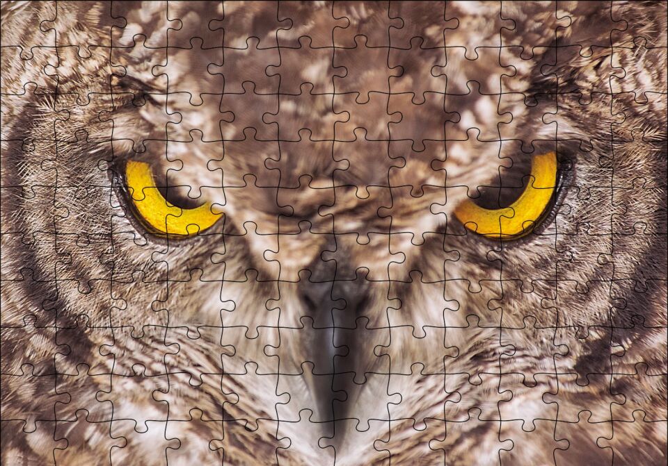 Kartal Baykuş Puzzle Yapboz MDF Ahşap 120 Parça 24 cm X 34 cm