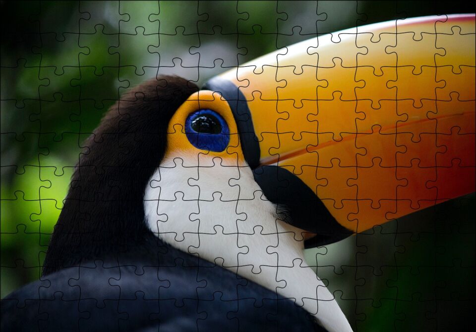 Muhteşem Renkleriyle Tukan Kuşu Puzzle Yapboz MDF Ahşap 120 Parça 24 cm X 34 cm