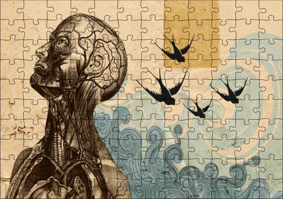 Sanatsal Anatomi Puzzle Yapboz MDF Ahşap 120 Parça 24 cm X 34 cm
