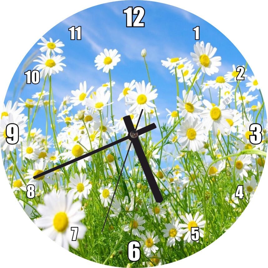 Beyaz Papatyalar ve Mavi Gökyüzü Mdf Ahşap Duvar Saati
