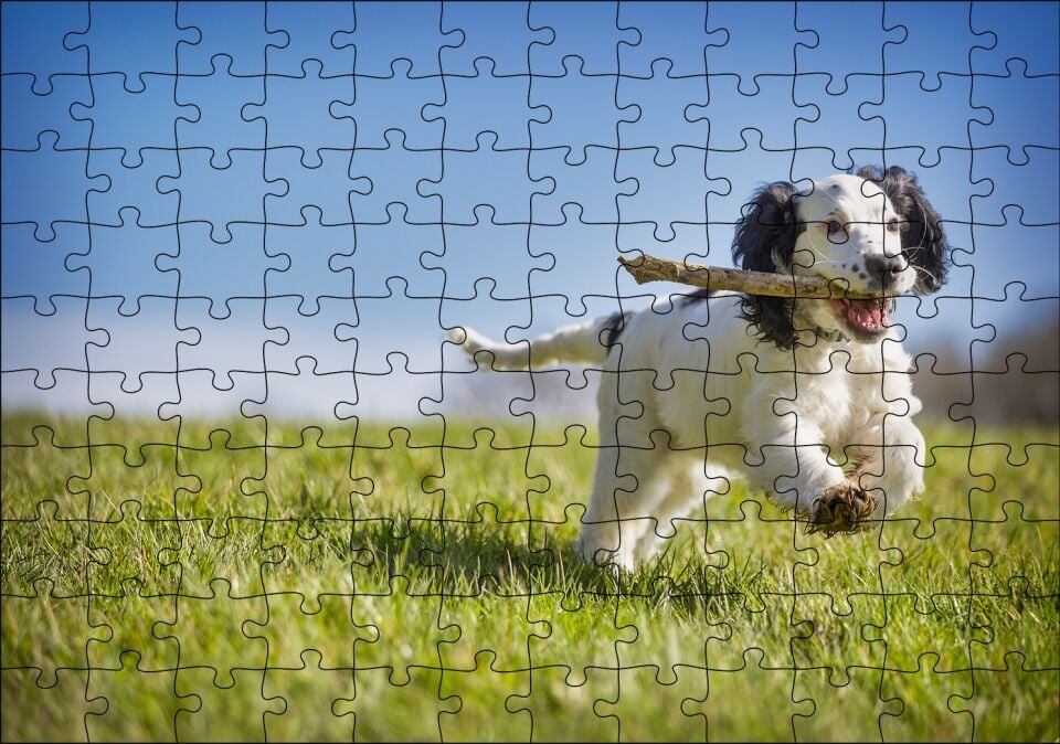 Çayırda Oyun Oynayan Sevimli Köpek Puzzle Yapboz MDF Ahşap