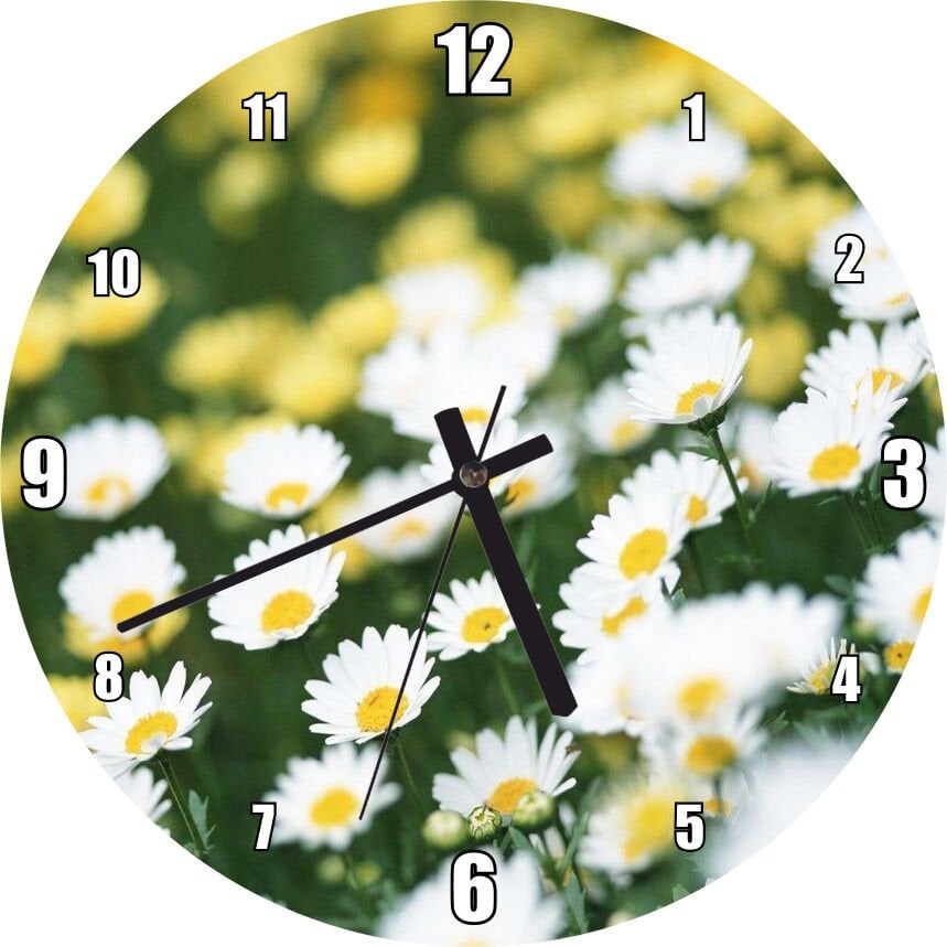 Beyaz Papatyalar ve Arkada Flu Sarı Papatyalar Mdf Ahşap Duvar Saati