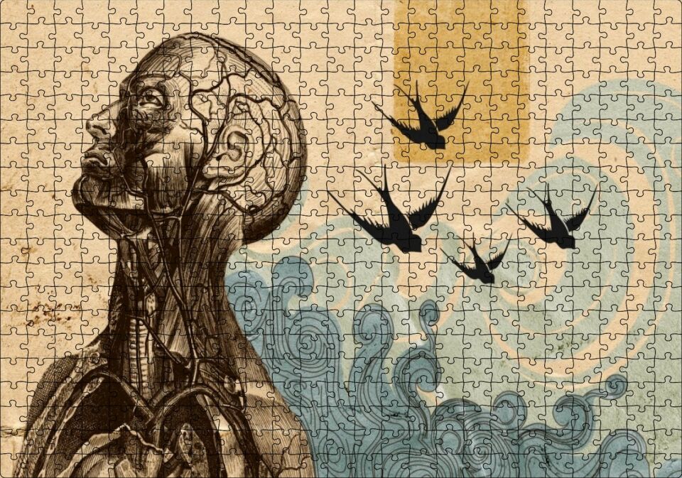Sanatsal Anatomi Puzzle Yapboz MDF Ahşap 500 Parça 49 cm X 68 cm