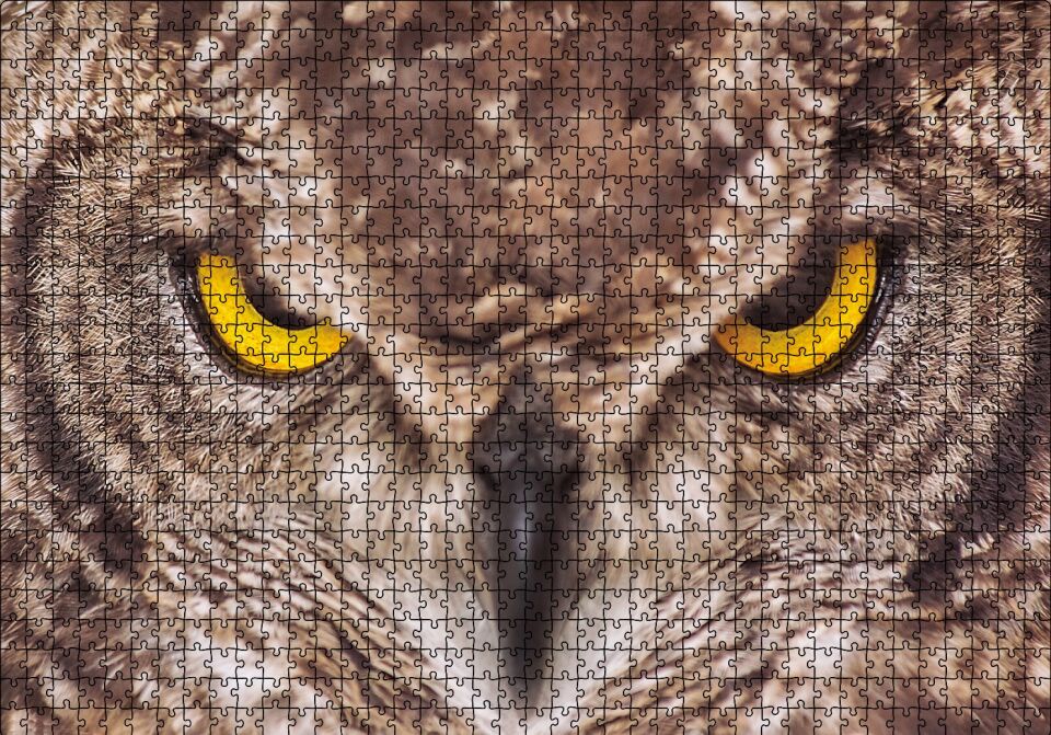 Kartal Baykuş Puzzle Yapboz MDF Ahşap 1000 Parça 49 cm X 68 cm