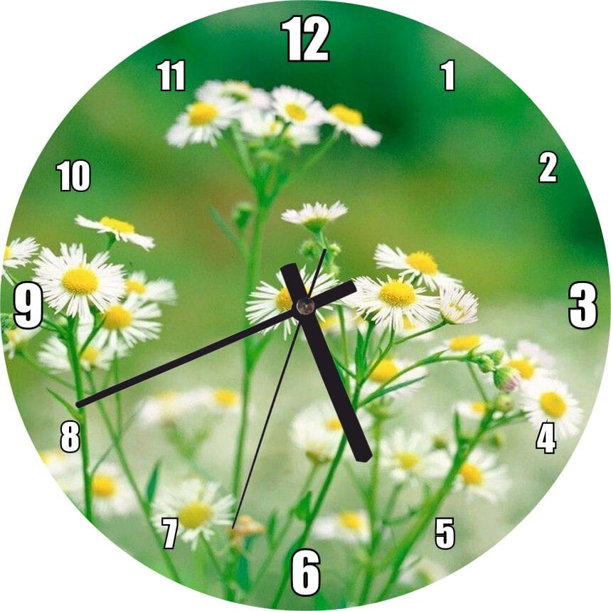 Beyaz Papatyalar Flu Arkaplan Mdf Ahşap Duvar Saati