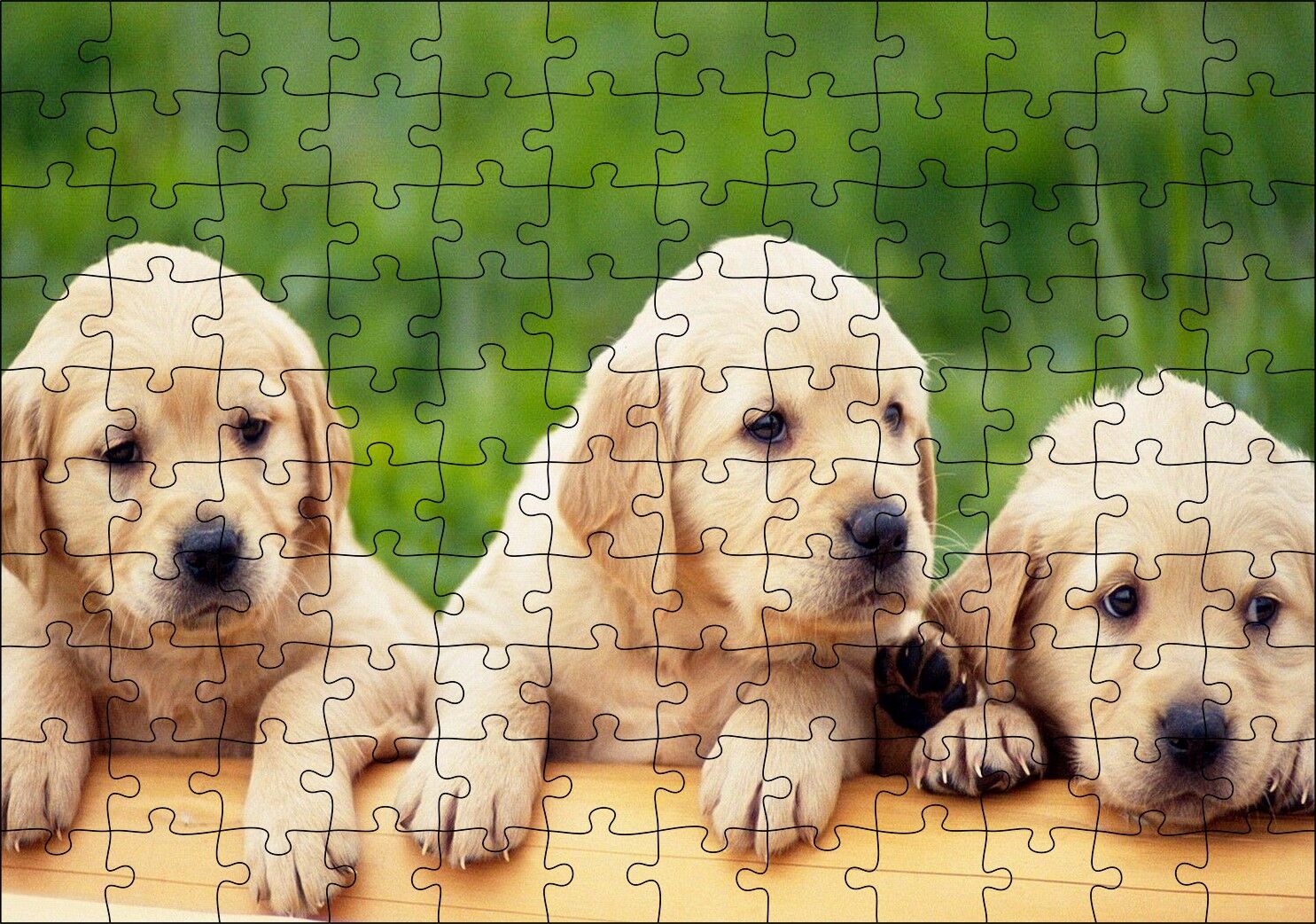 Kütüğün Üzerinde Üç Sevimli Labrador Puzzle Yapboz MDF Ahşap 120 Parça 24 cm X 34 cm