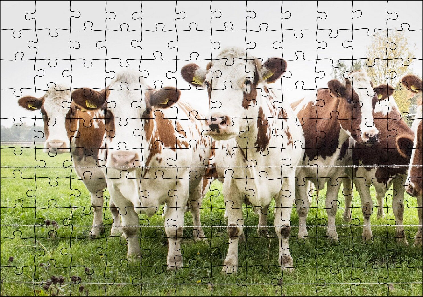 Çayırda Tel Örgünün Kenarında İnekler Puzzle Yapboz MDF Ahşap