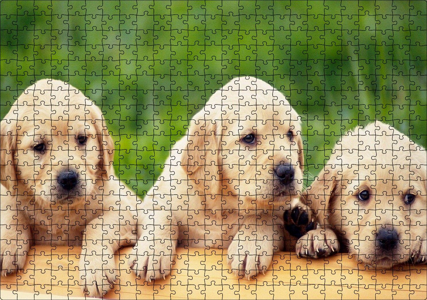Kütüğün Üzerinde Üç Sevimli Labrador Puzzle Yapboz MDF Ahşap 500 Parça 49 cm X 68 cm