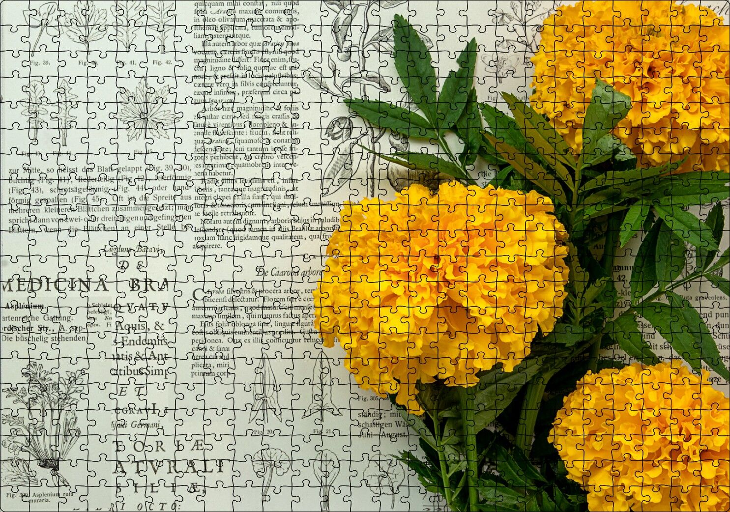 Sarı Çiçekler ve Bitkisel Şifa Kitabı Yaprakları Puzzle Yapboz MDF Ahşap 500 Parça 49 cm X 68 cm